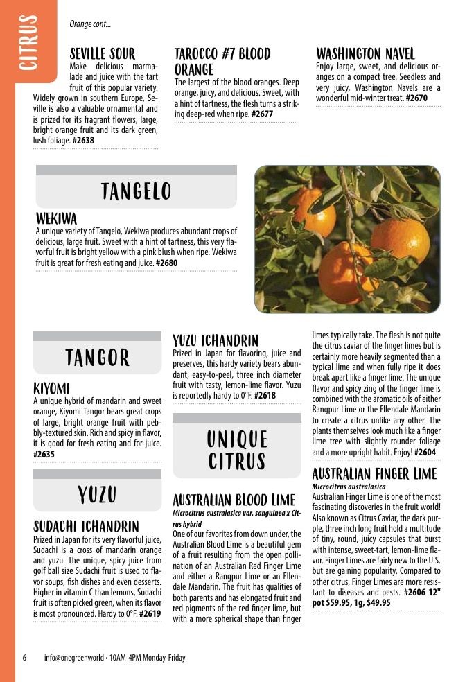 One Green World Annual Catalog Weekly Ad January 1 - December 31, 2026