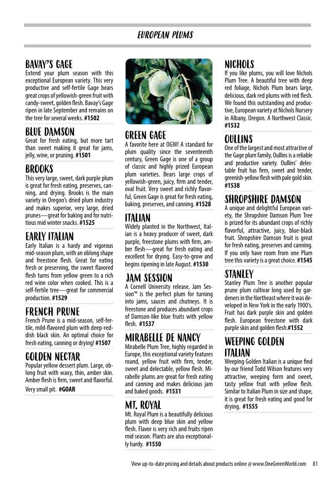 One Green World Annual Catalog Weekly Ad January 1 - December 31, 2026