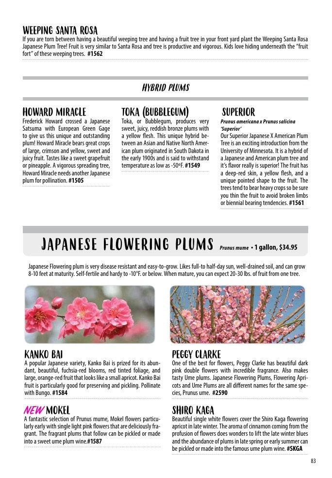One Green World Annual Catalog Weekly Ad January 1 - December 31, 2026