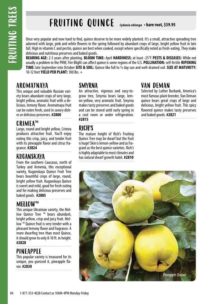 One Green World Annual Catalog Weekly Ad January 1 - December 31, 2026