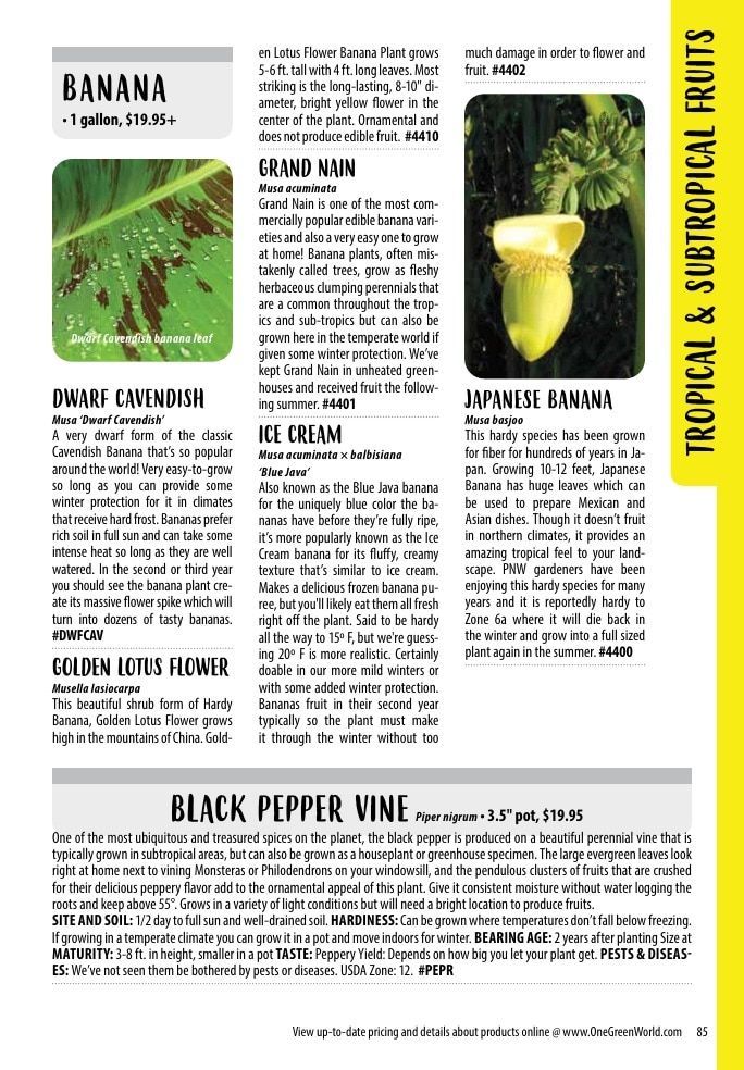 One Green World Annual Catalog Weekly Ad January 1 - December 31, 2026