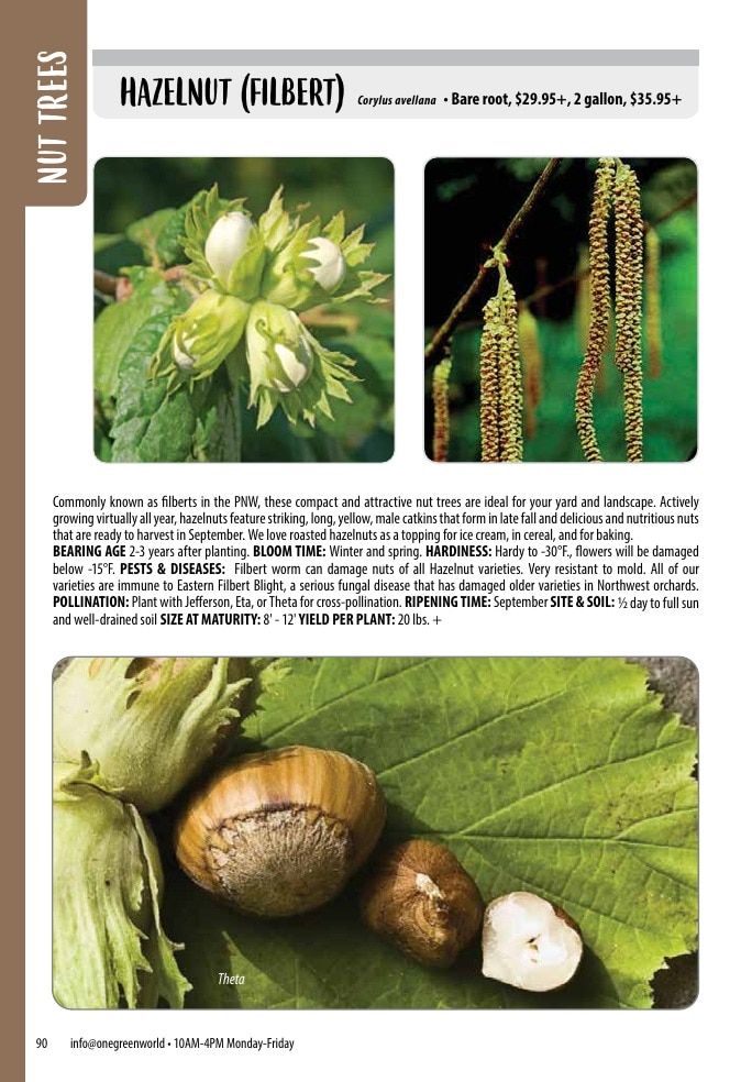 One Green World Annual Catalog Weekly Ad January 1 - December 31, 2026