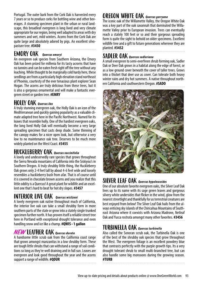 One Green World Annual Catalog Weekly Ad January 1 - December 31, 2026