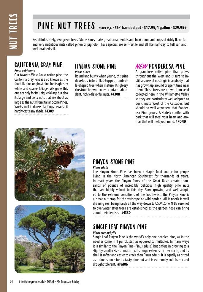 One Green World Annual Catalog Weekly Ad January 1 - December 31, 2026