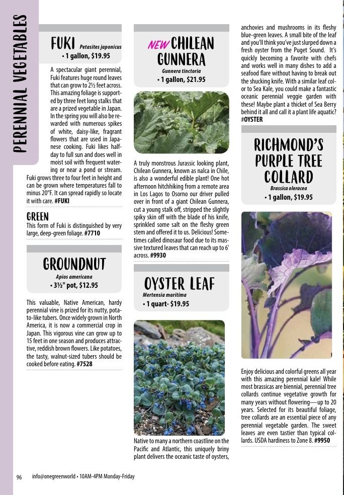 One Green World Annual Catalog Weekly Ad January 1 - December 31, 2026