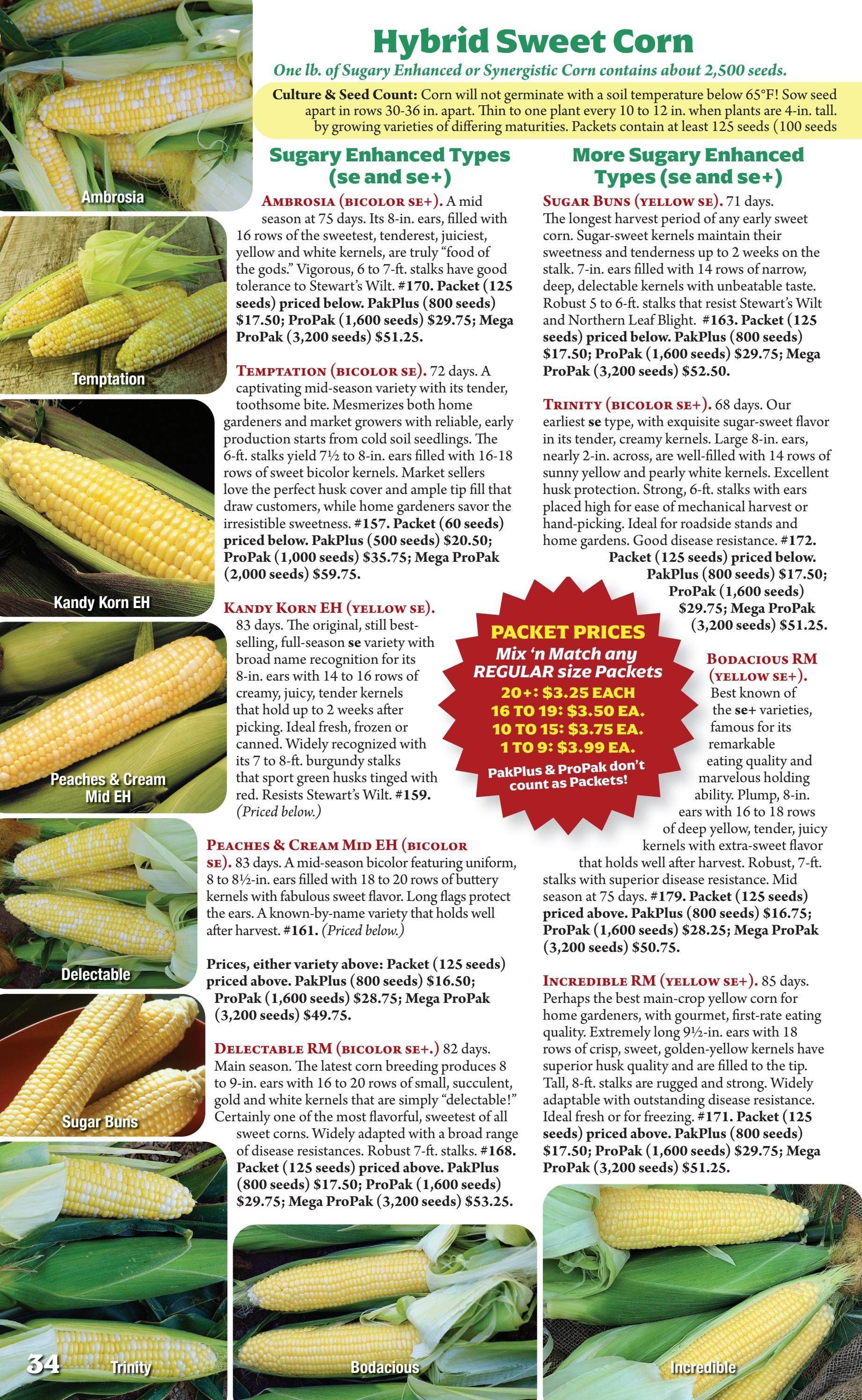 Seeds 'n Such Annual Seed Catalog Weekly Ad January 1 - December 31, 2026