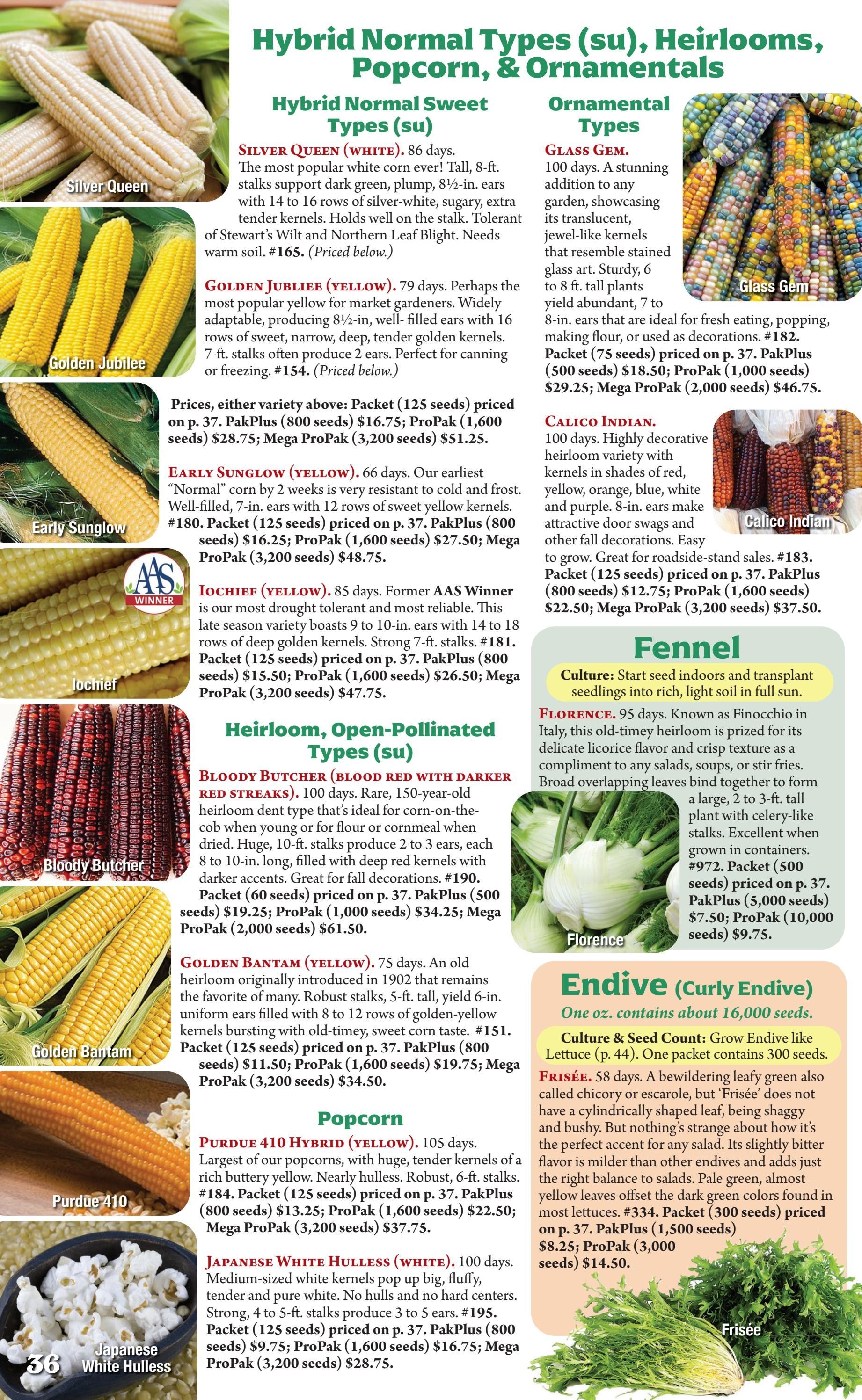 Seeds 'n Such Annual Seed Catalog Weekly Ad January 1 - December 31, 2026
