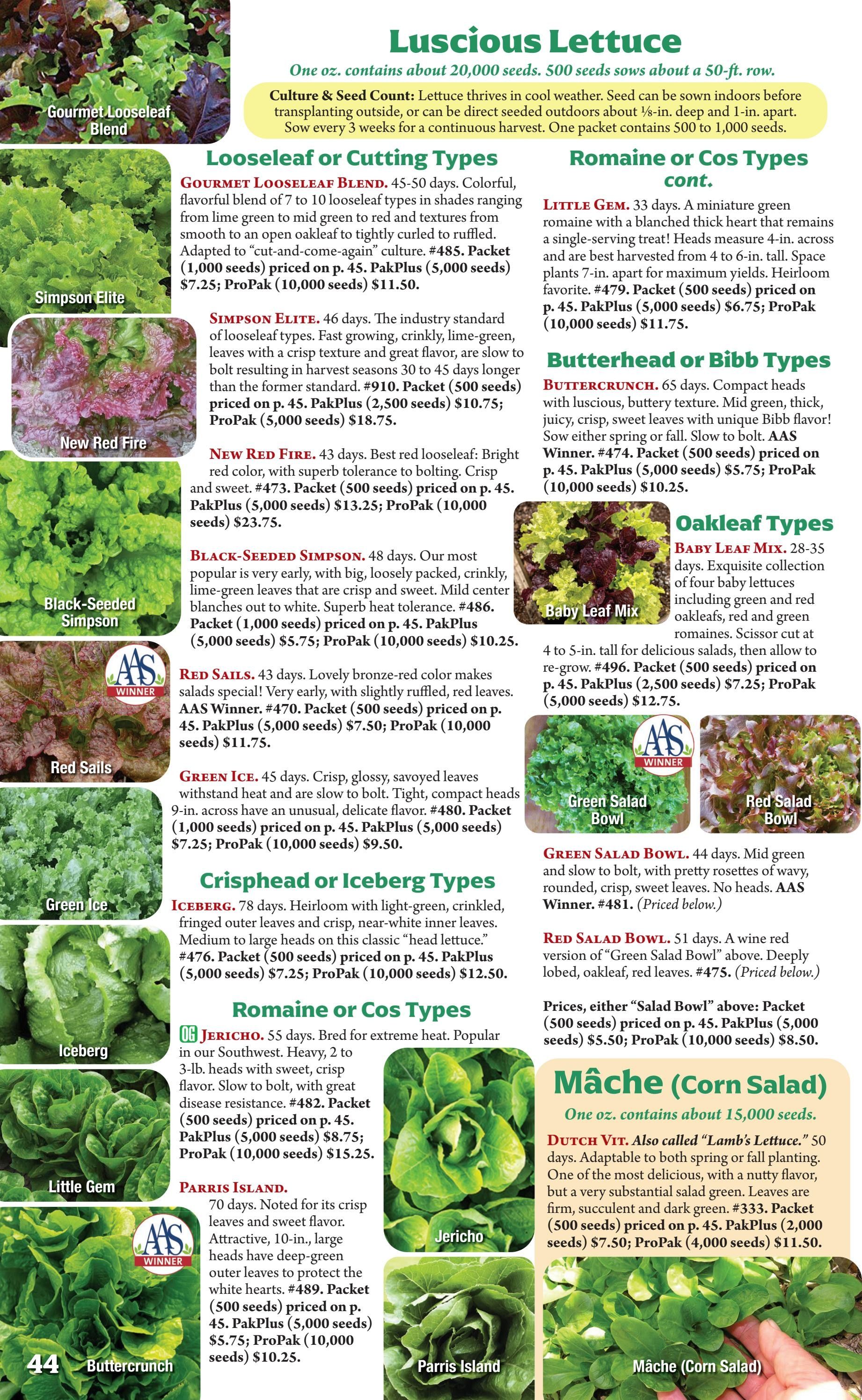 Seeds 'n Such Annual Seed Catalog Weekly Ad January 1 - December 31, 2026