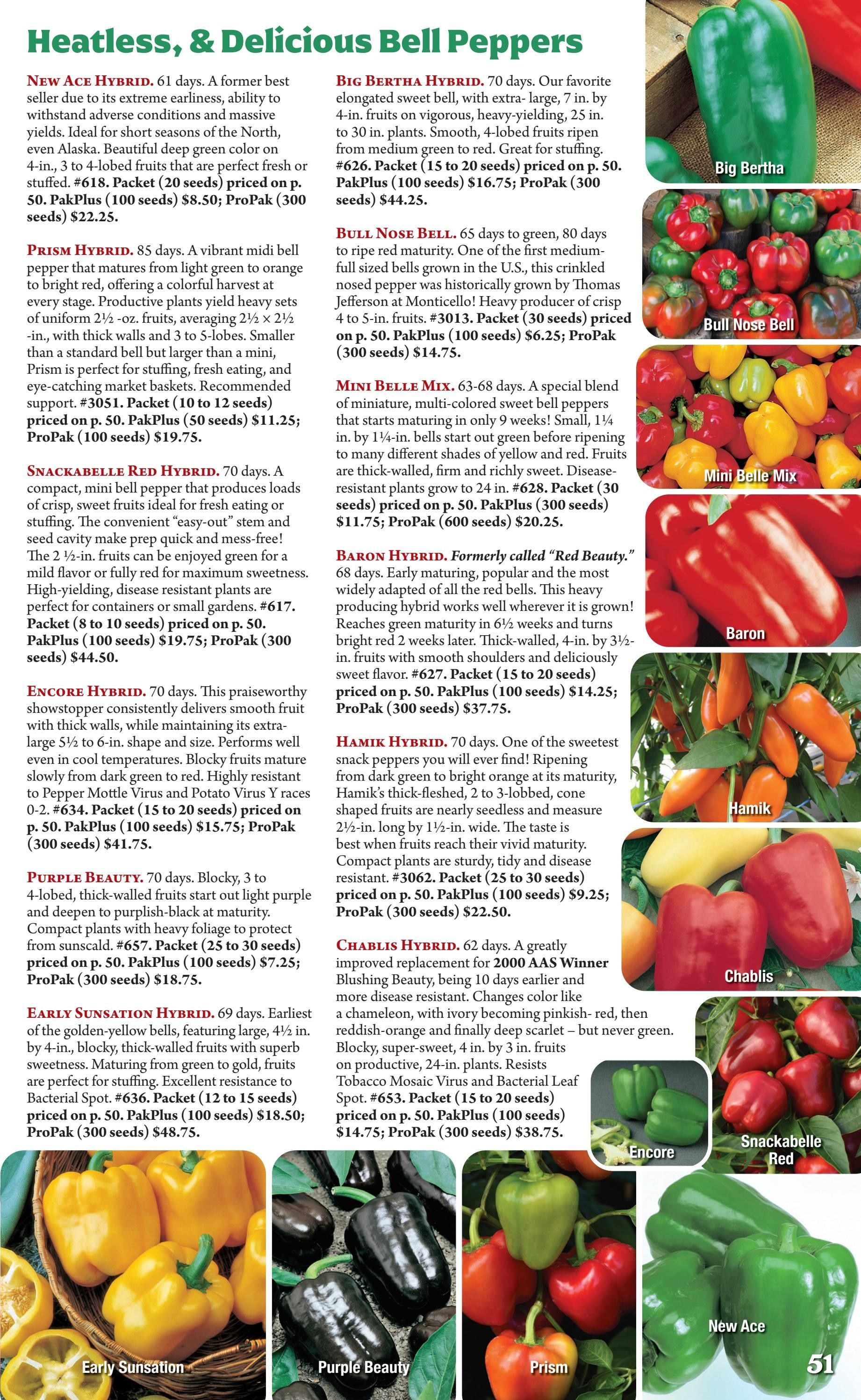Seeds 'n Such Annual Seed Catalog Weekly Ad January 1 - December 31, 2026