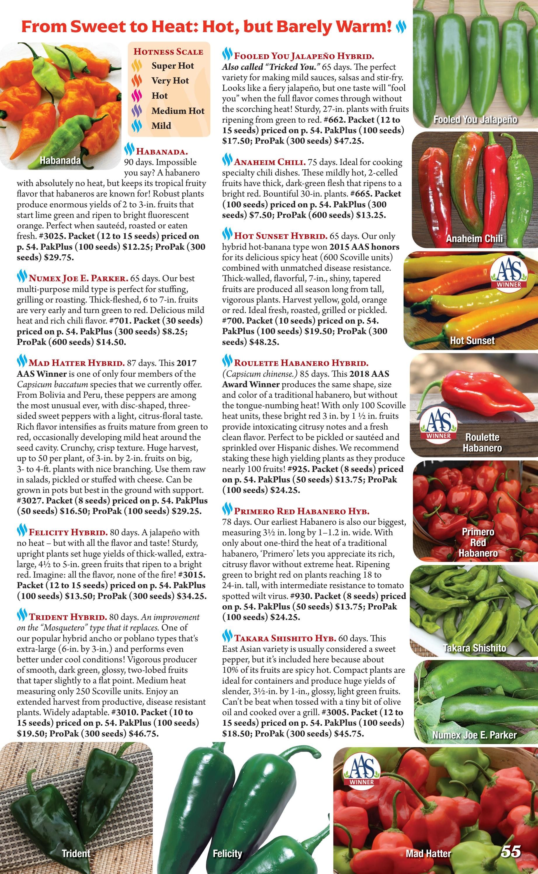 Seeds 'n Such Annual Seed Catalog Weekly Ad January 1 - December 31, 2026