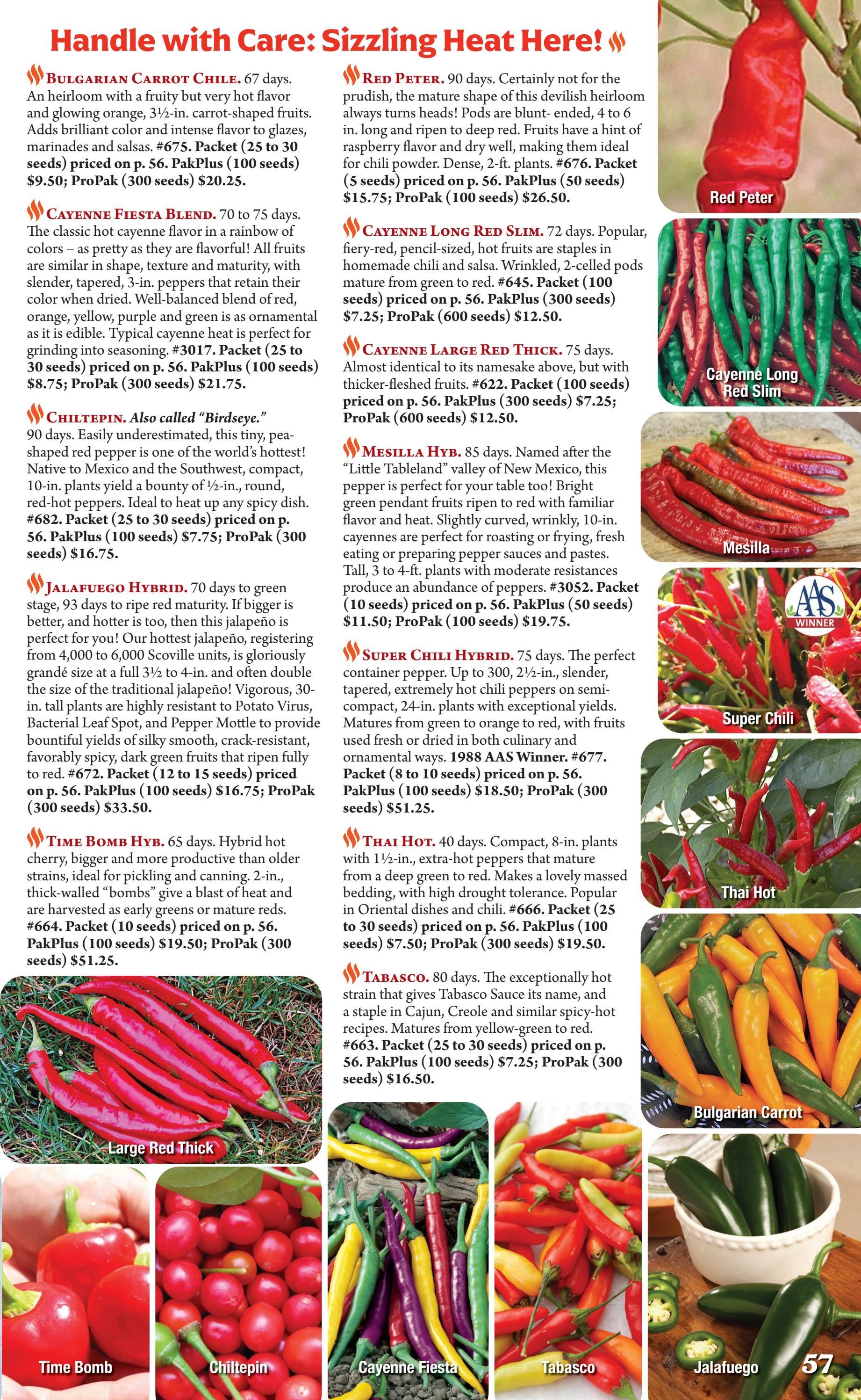 Seeds 'n Such Annual Seed Catalog Weekly Ad January 1 - December 31, 2026