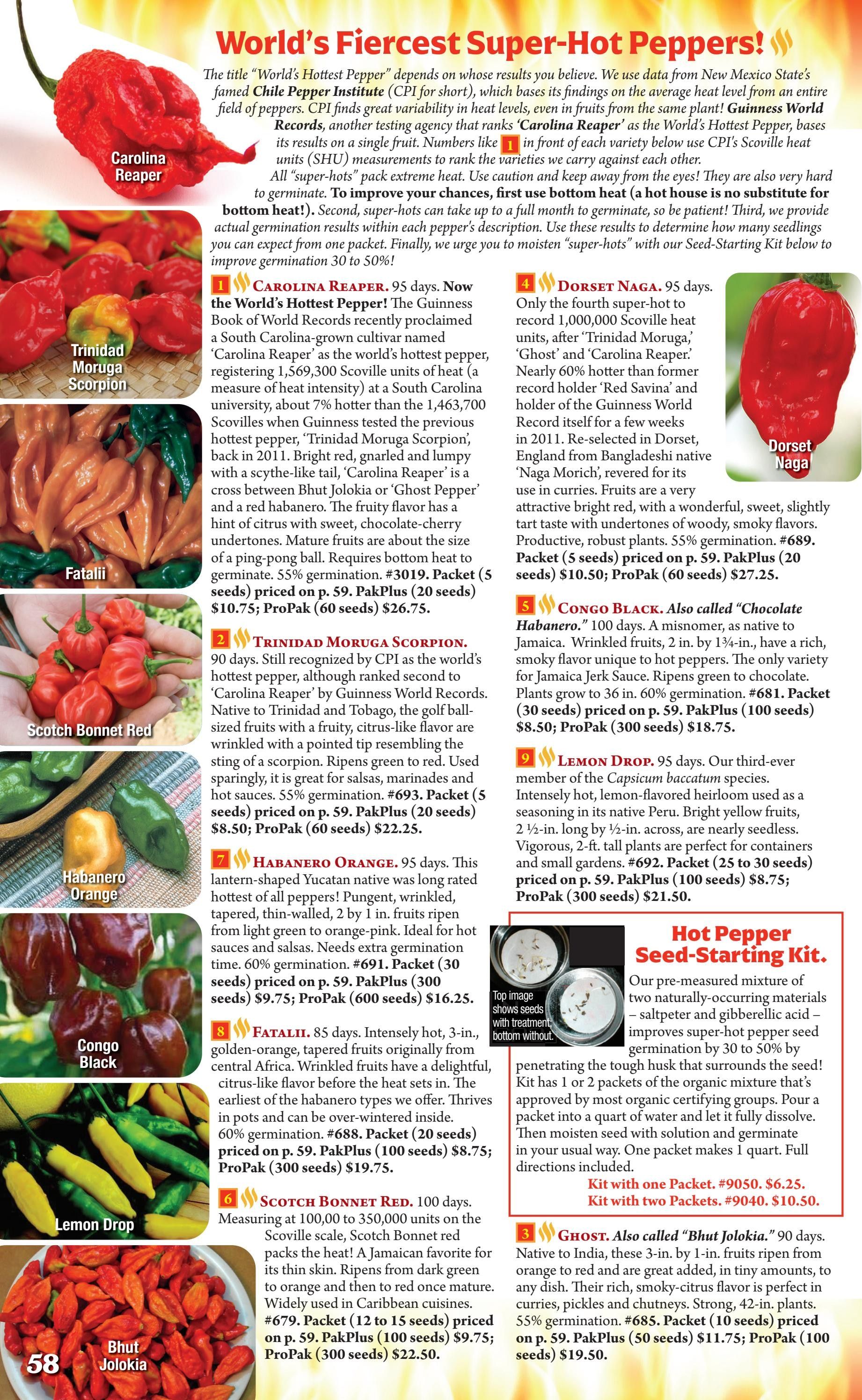 Seeds 'n Such Annual Seed Catalog Weekly Ad January 1 - December 31, 2026