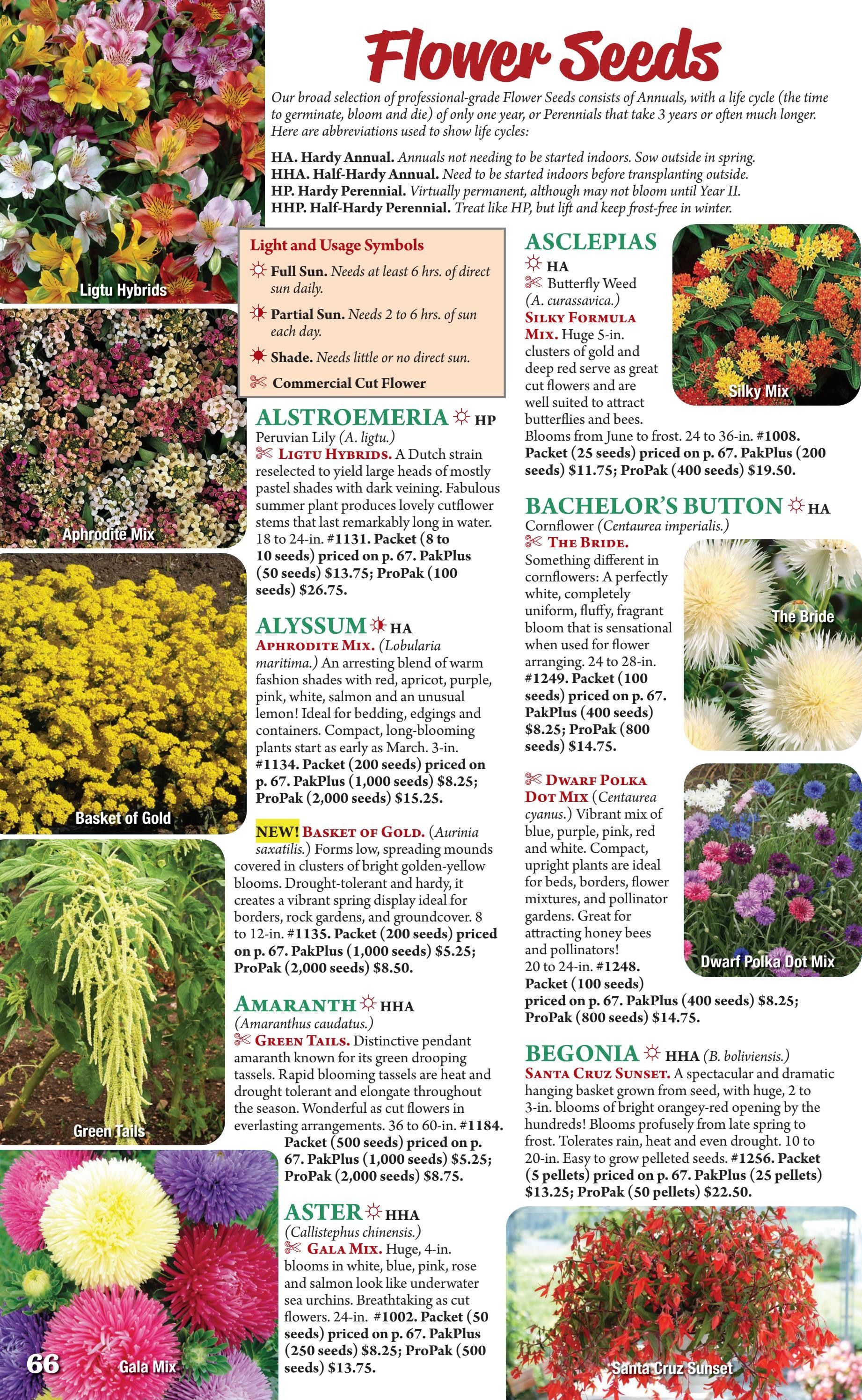 Seeds 'n Such Annual Seed Catalog Weekly Ad January 1 - December 31, 2026