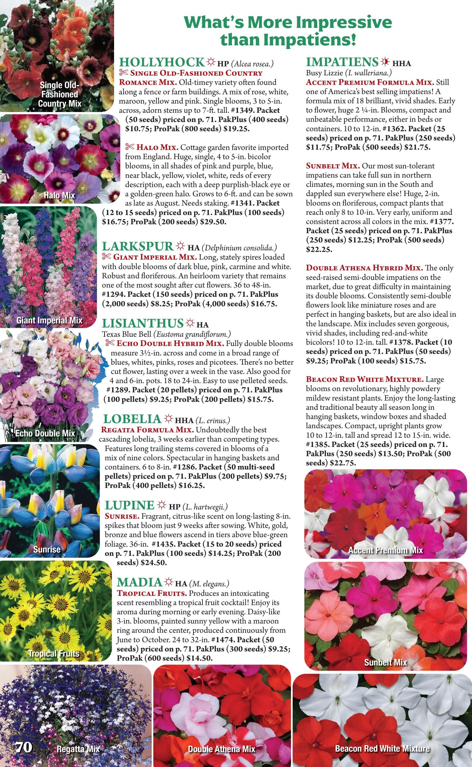 Seeds 'n Such Annual Seed Catalog Weekly Ad January 1 - December 31, 2026