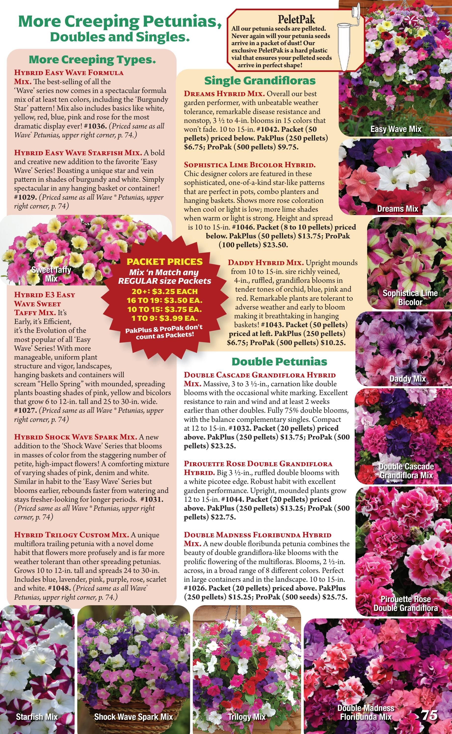 Seeds 'n Such Annual Seed Catalog Weekly Ad January 1 - December 31, 2026