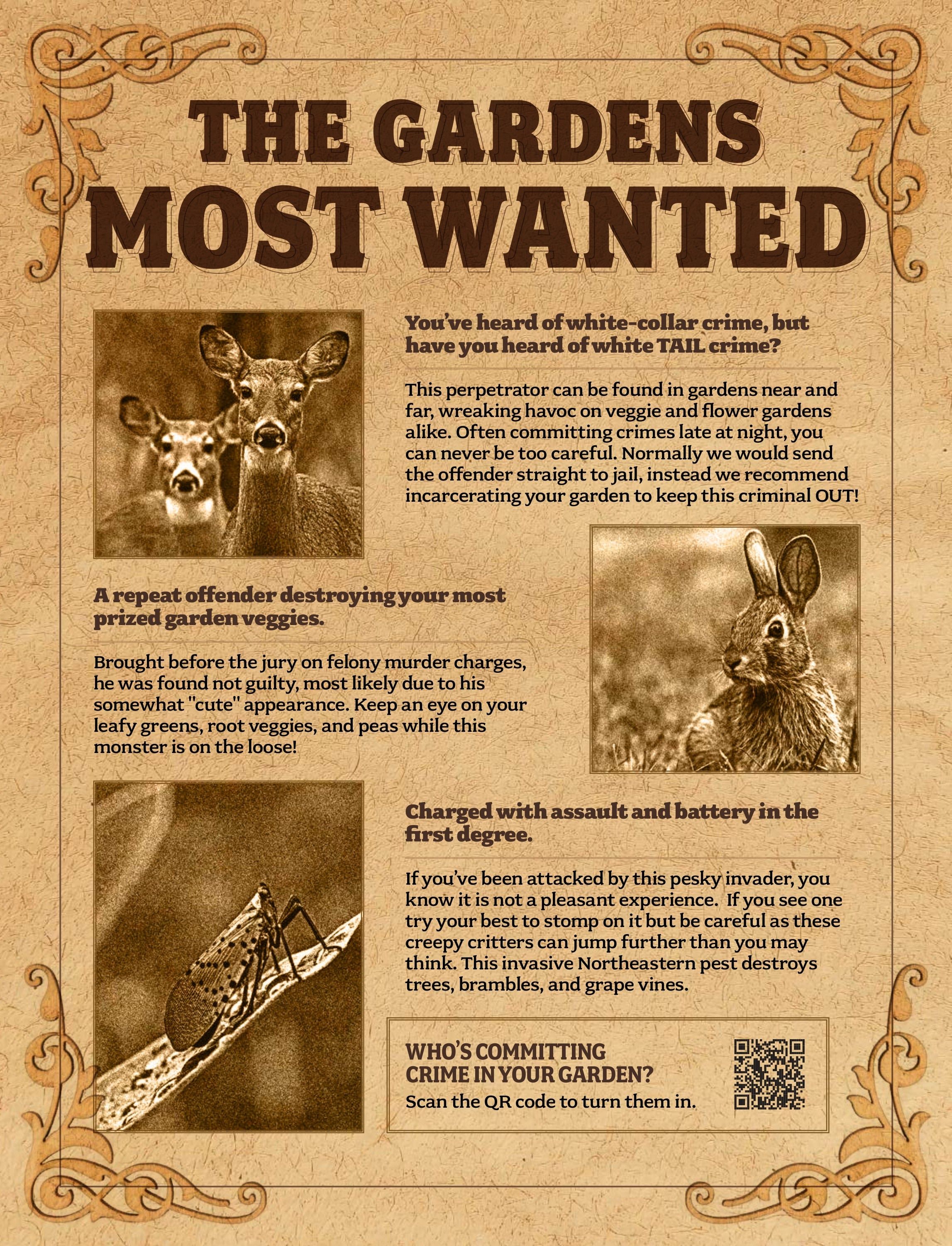 Rohrer Seeds Annual Seed Catalog Weekly Ad January 1 - December 31, 2026
