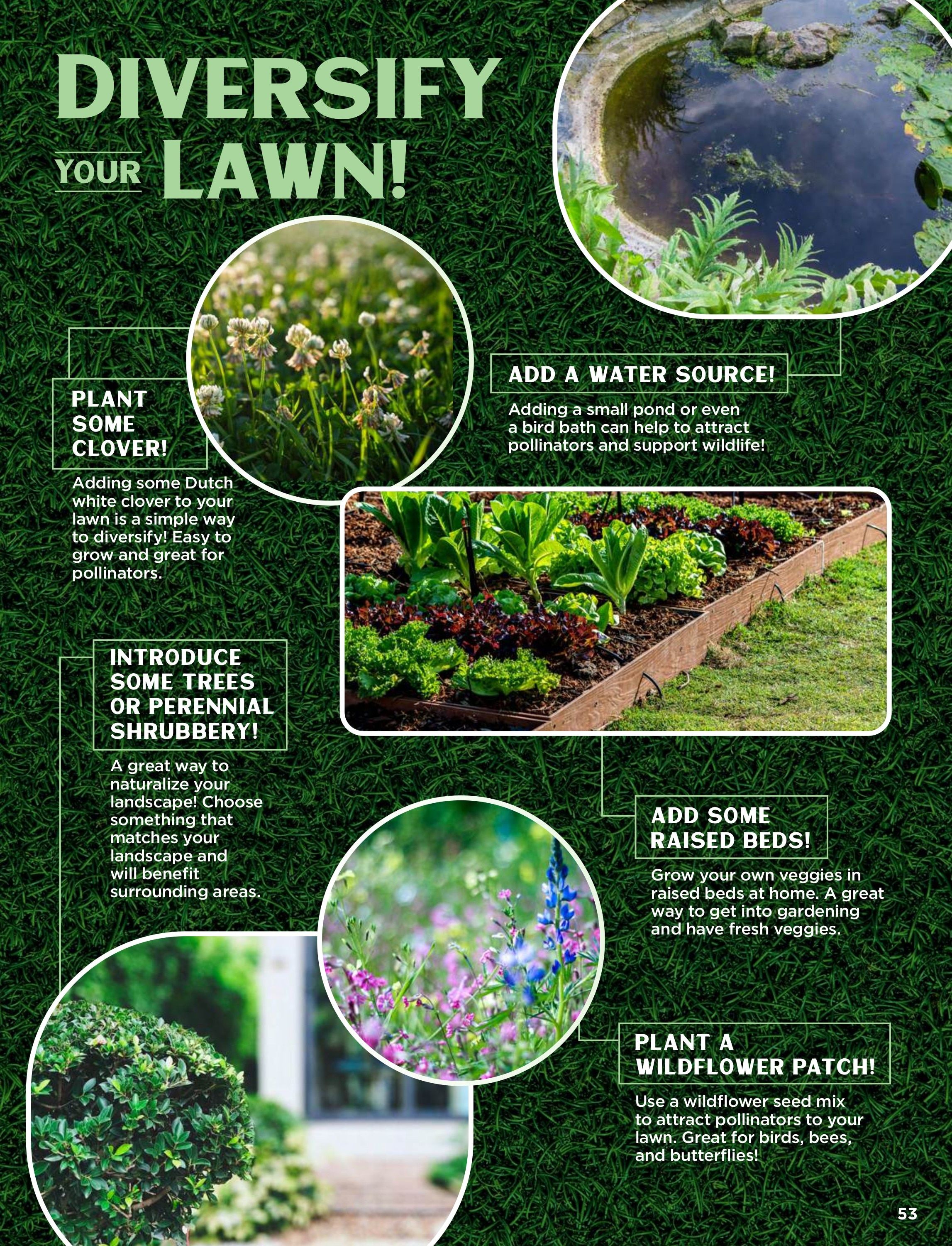 Rohrer Seeds Annual Seed Catalog Weekly Ad January 1 - December 31, 2026