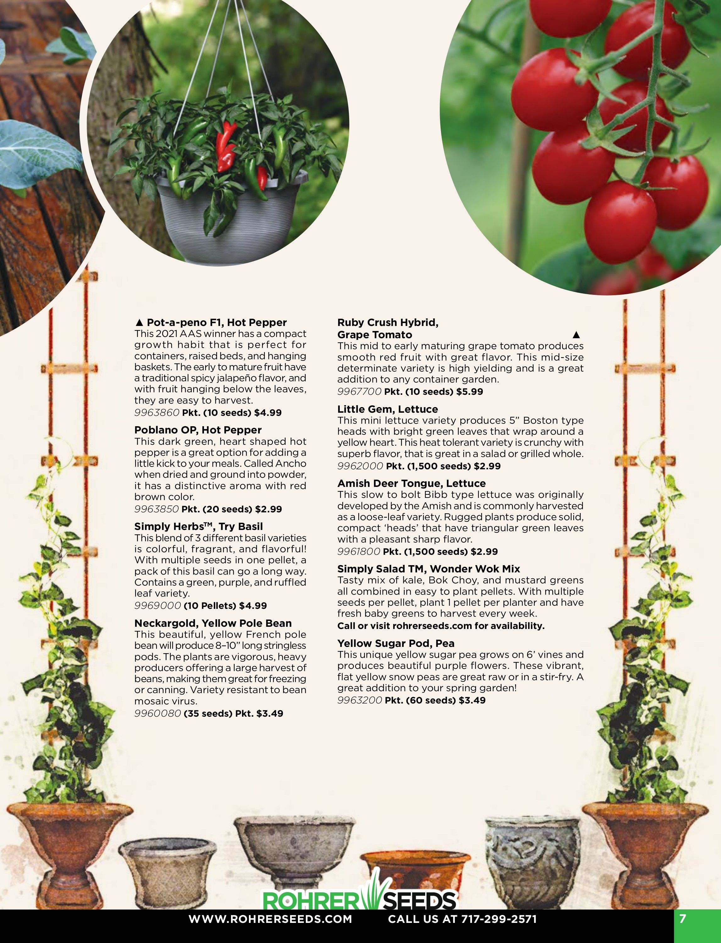 Rohrer Seeds Annual Seed Catalog Weekly Ad January 1 - December 31, 2026