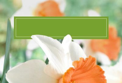 SiteOne Landscape Supply Spring Bulb Catalog Weekly Ad January 1 - December 31, 2026