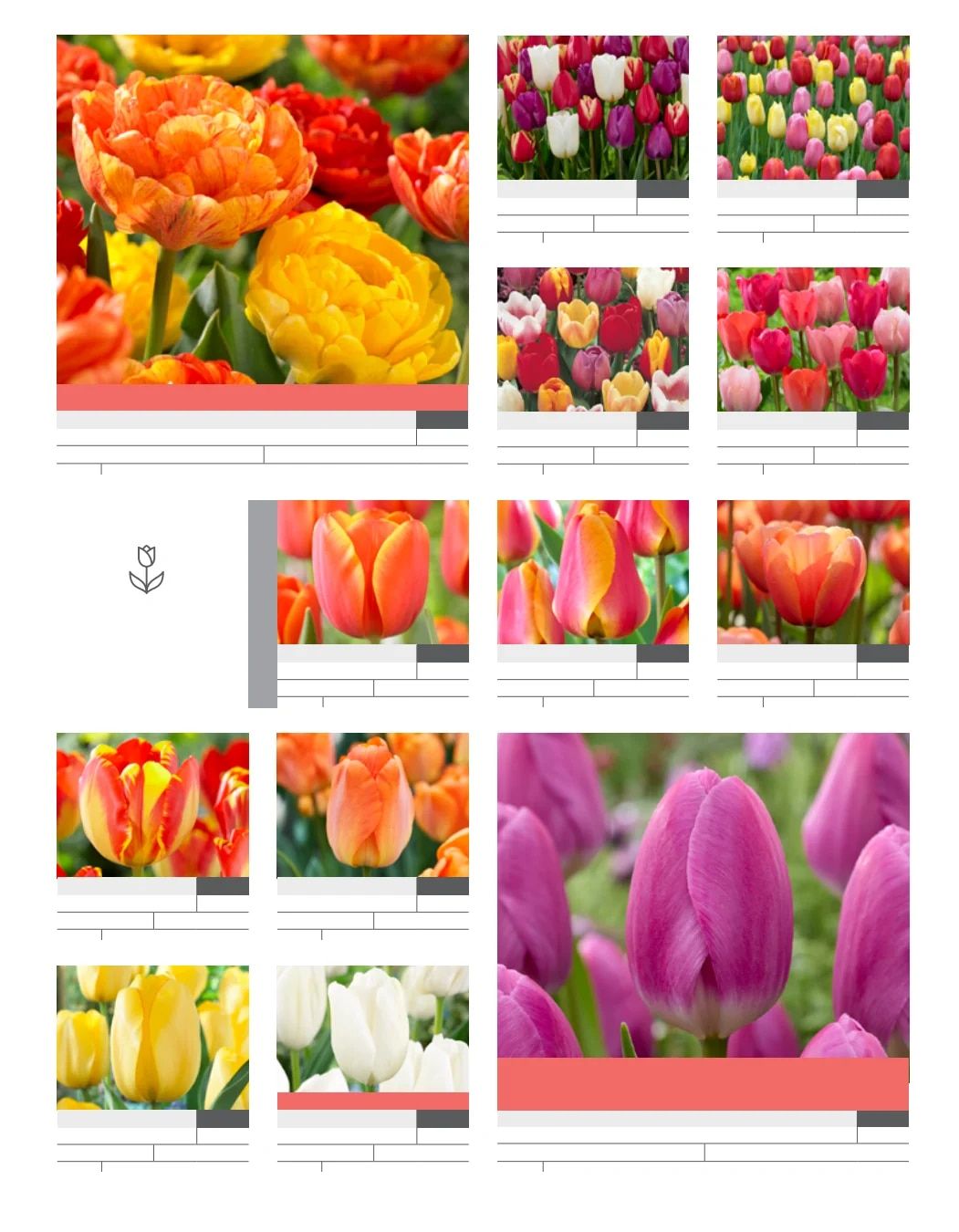 SiteOne Landscape Supply Spring Bulb Catalog Weekly Ad January 1 - December 31, 2026