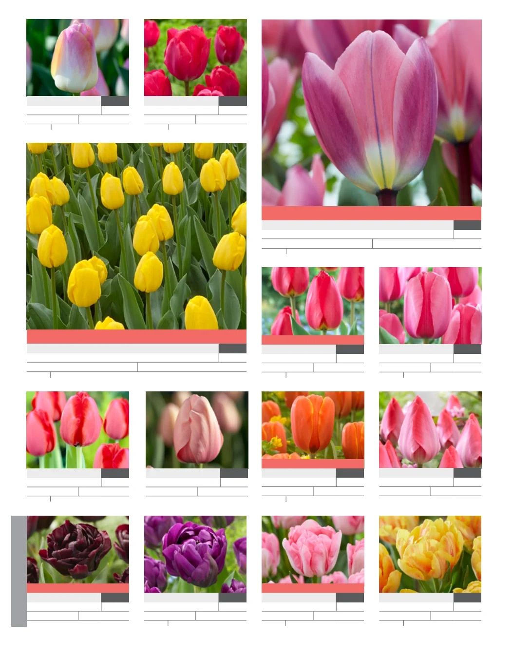 SiteOne Landscape Supply Spring Bulb Catalog Weekly Ad January 1 - December 31, 2026