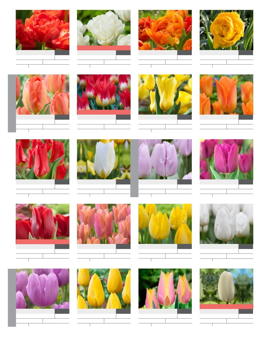 SiteOne Landscape Supply Spring Bulb Catalog Weekly Ad January 1 - December 31, 2026