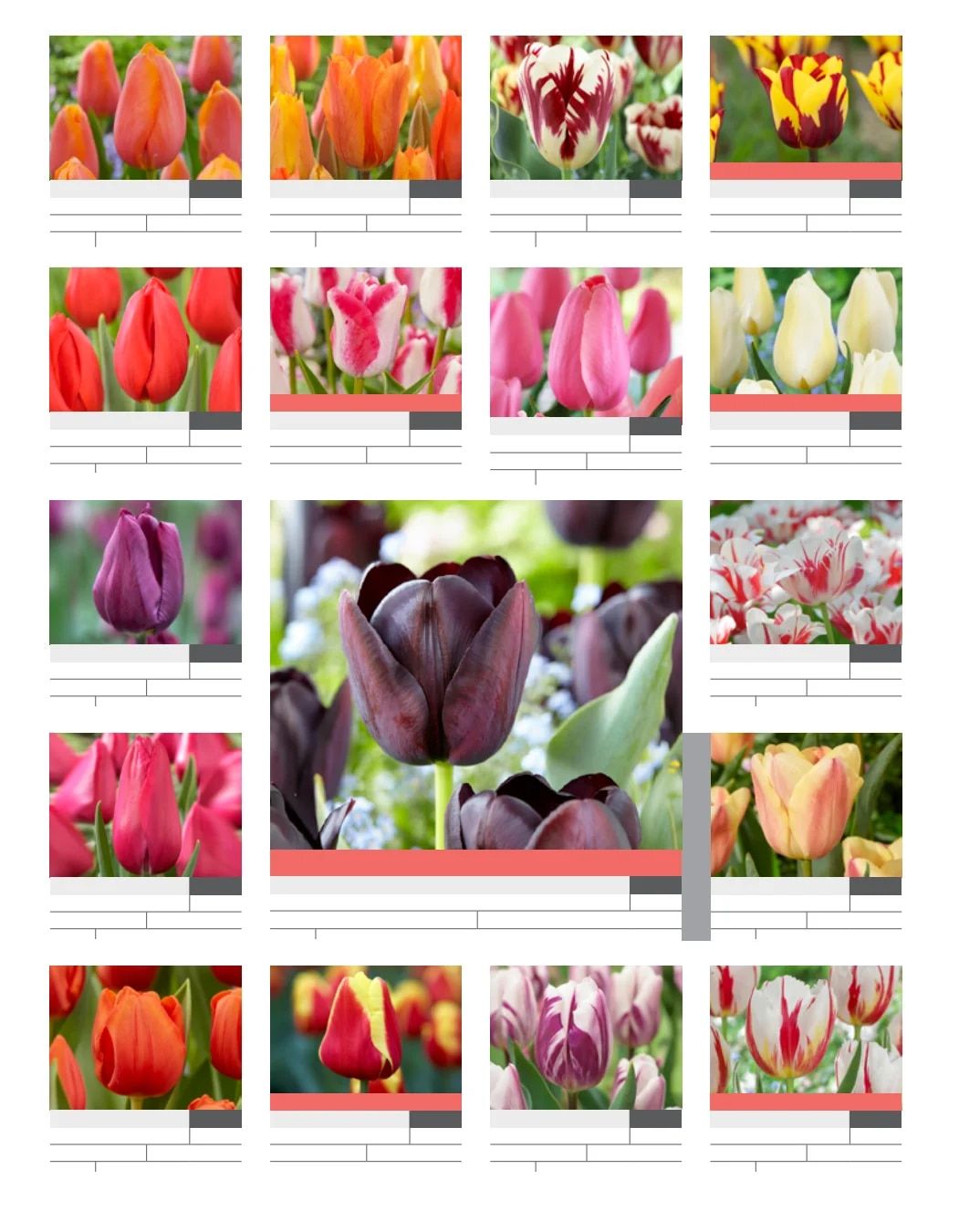SiteOne Landscape Supply Spring Bulb Catalog Weekly Ad January 1 - December 31, 2026