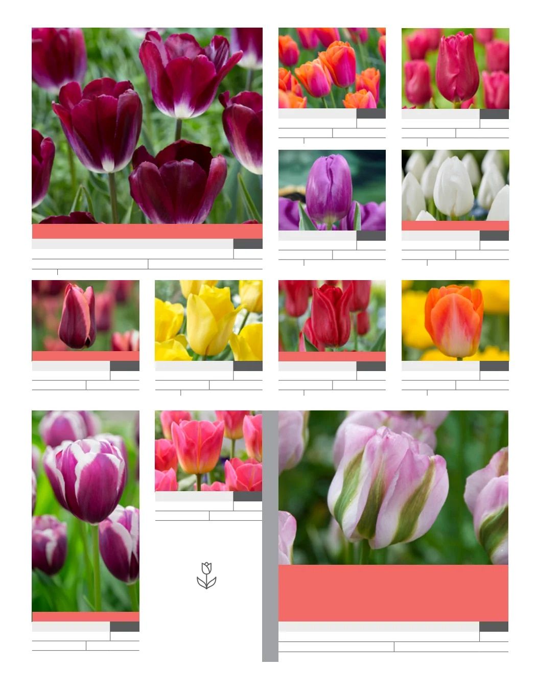 SiteOne Landscape Supply Spring Bulb Catalog Weekly Ad January 1 - December 31, 2026