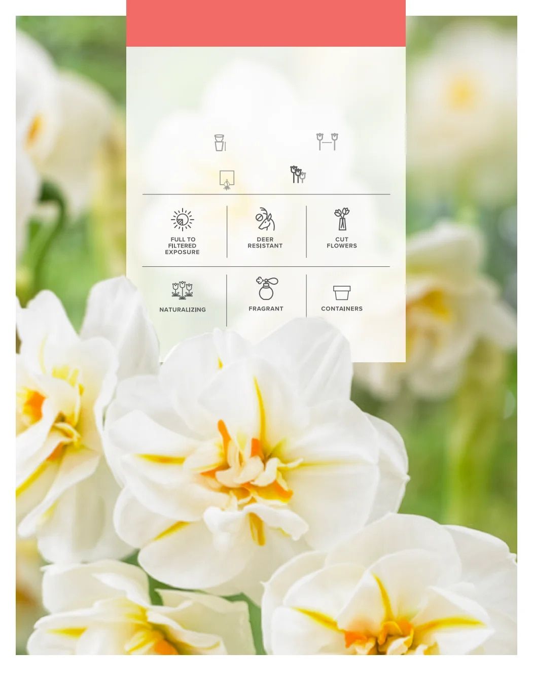 SiteOne Landscape Supply Spring Bulb Catalog Weekly Ad January 1 - December 31, 2026
