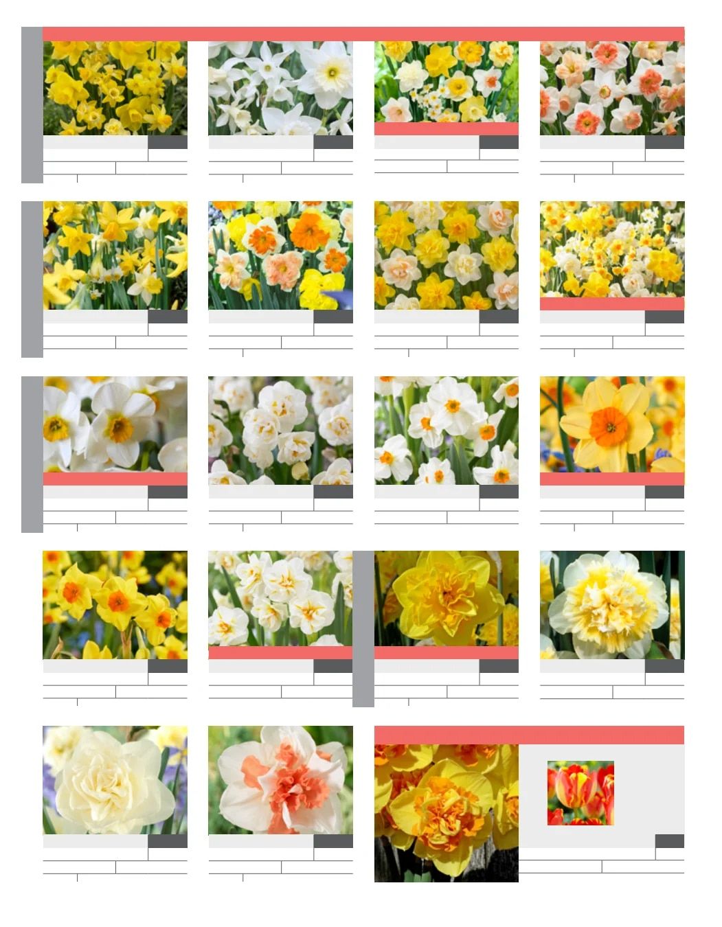 SiteOne Landscape Supply Spring Bulb Catalog Weekly Ad January 1 - December 31, 2026