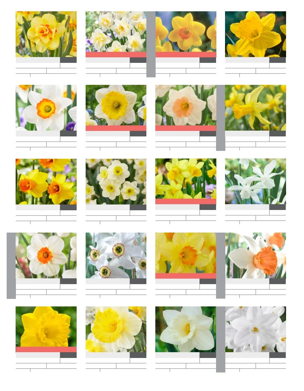 SiteOne Landscape Supply Spring Bulb Catalog Weekly Ad January 1 - December 31, 2026