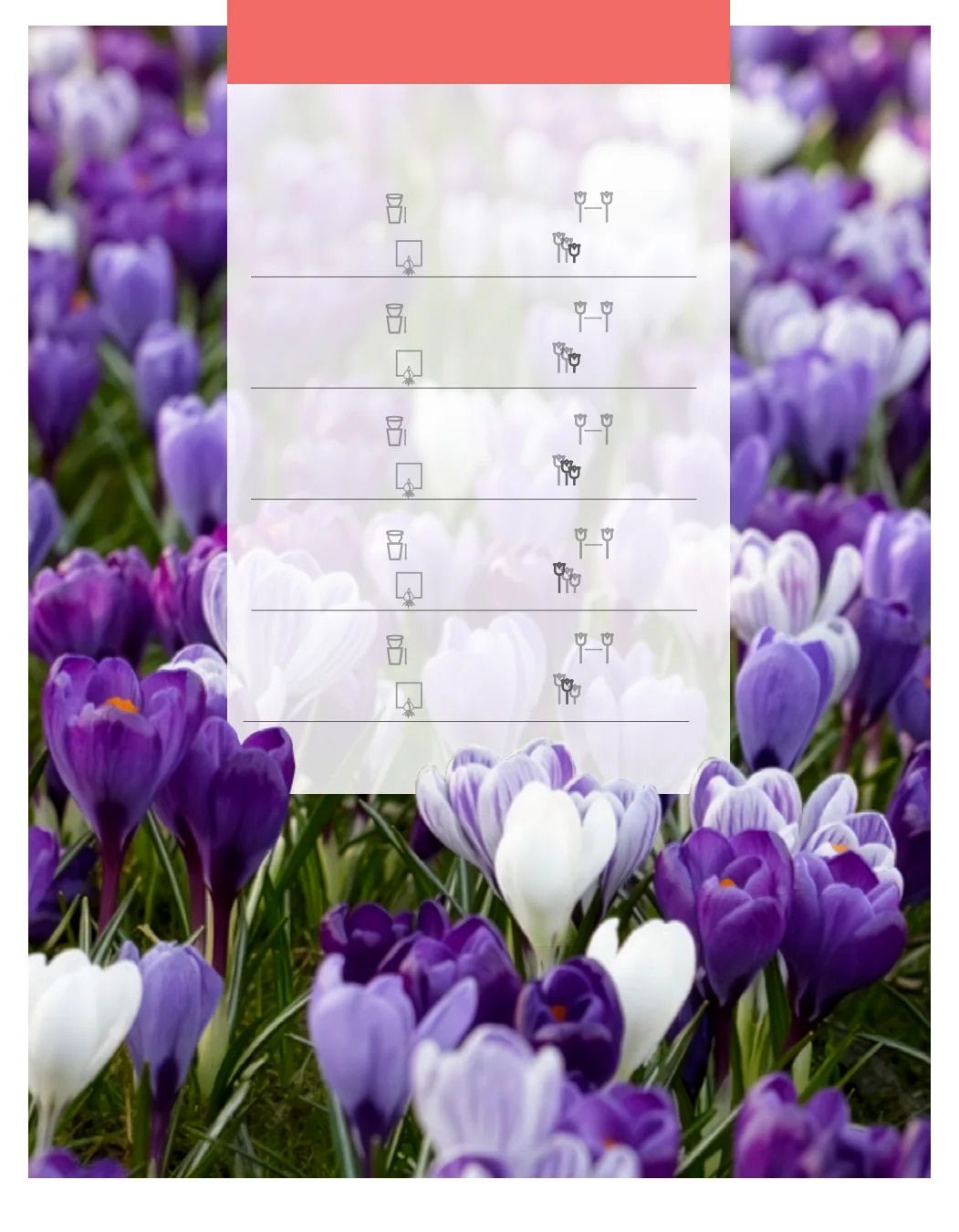 SiteOne Landscape Supply Spring Bulb Catalog Weekly Ad January 1 - December 31, 2026