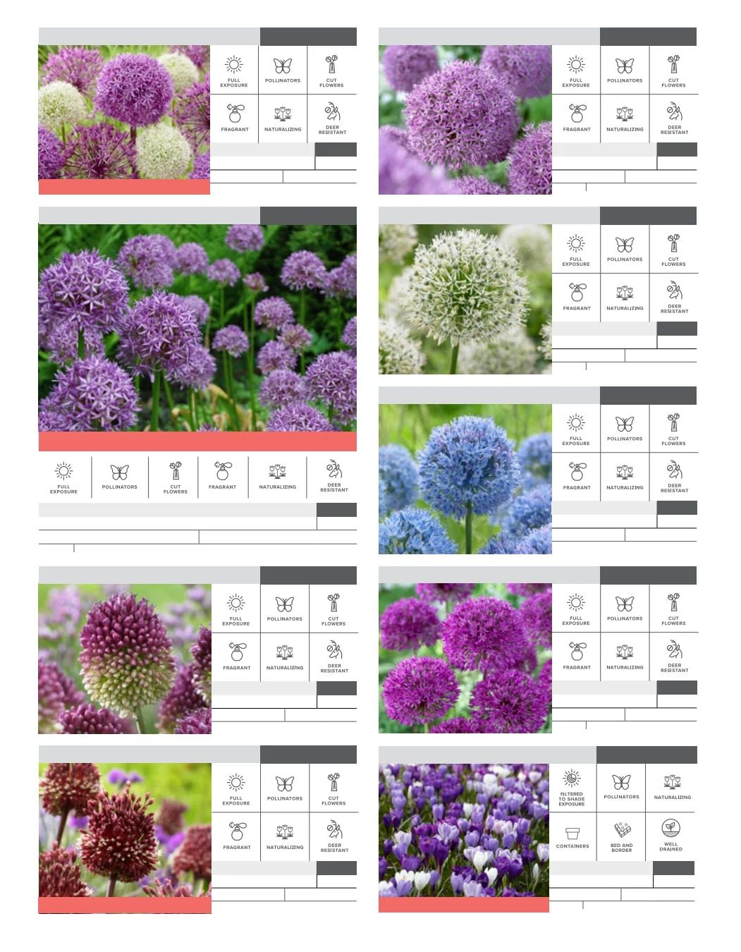 SiteOne Landscape Supply Spring Bulb Catalog Weekly Ad January 1 - December 31, 2026