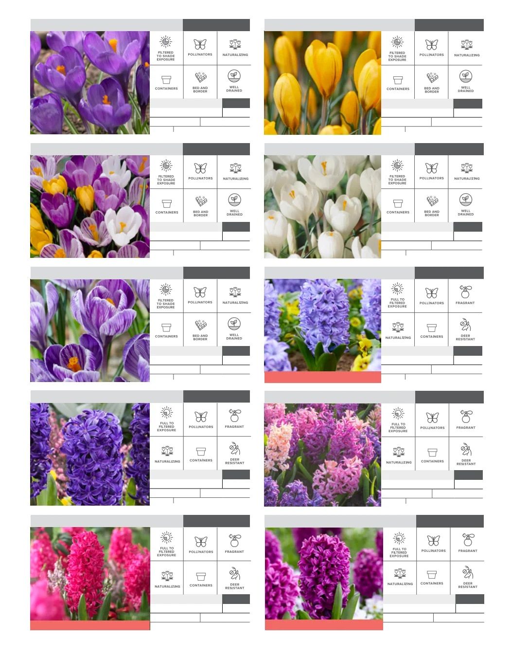 SiteOne Landscape Supply Spring Bulb Catalog Weekly Ad January 1 - December 31, 2026