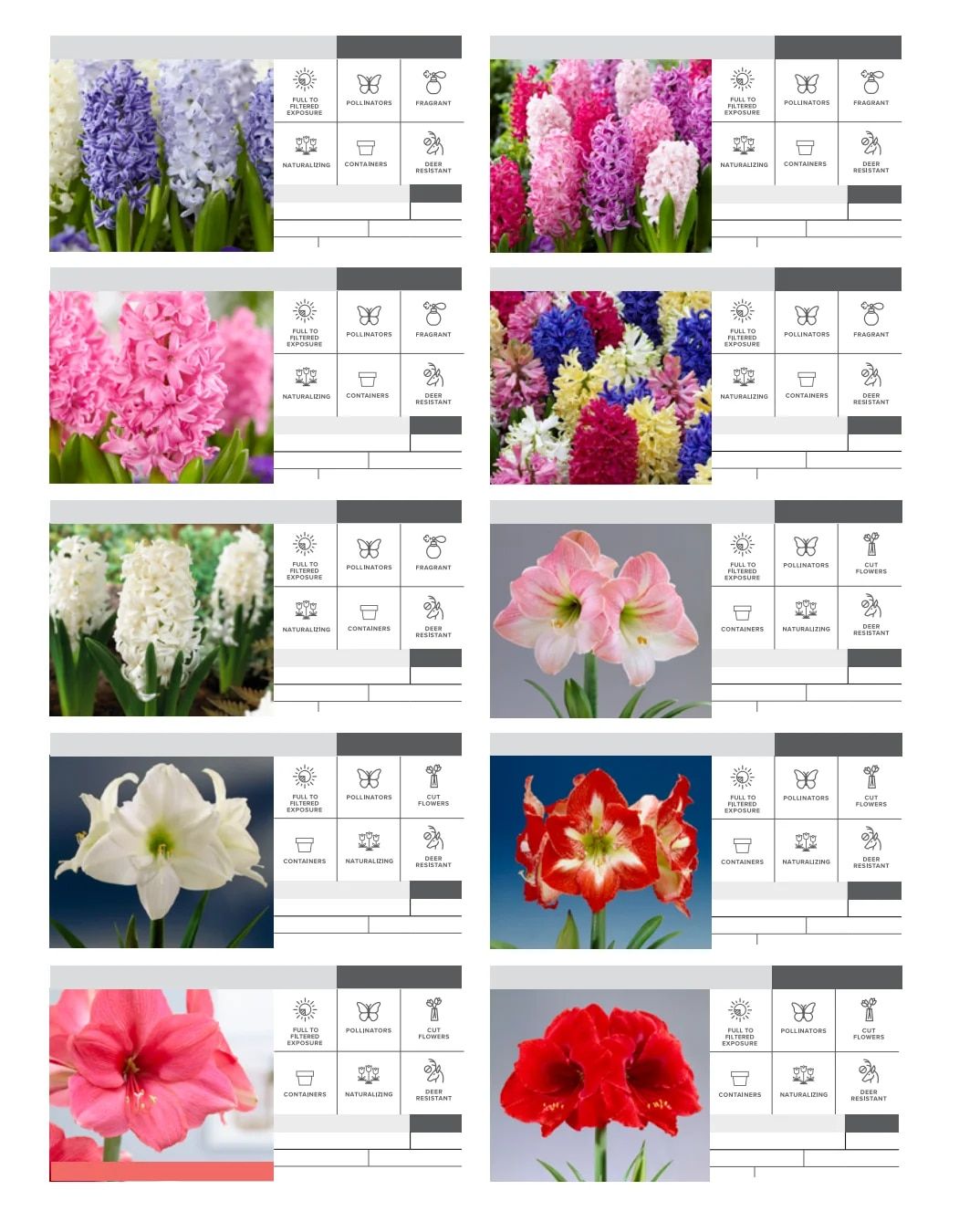 SiteOne Landscape Supply Spring Bulb Catalog Weekly Ad January 1 - December 31, 2026