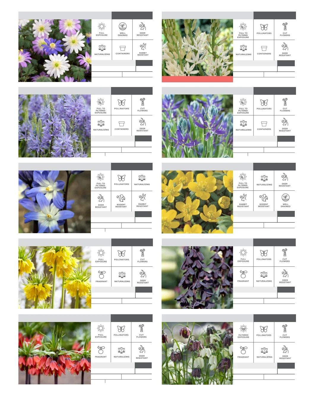 SiteOne Landscape Supply Spring Bulb Catalog Weekly Ad January 1 - December 31, 2026