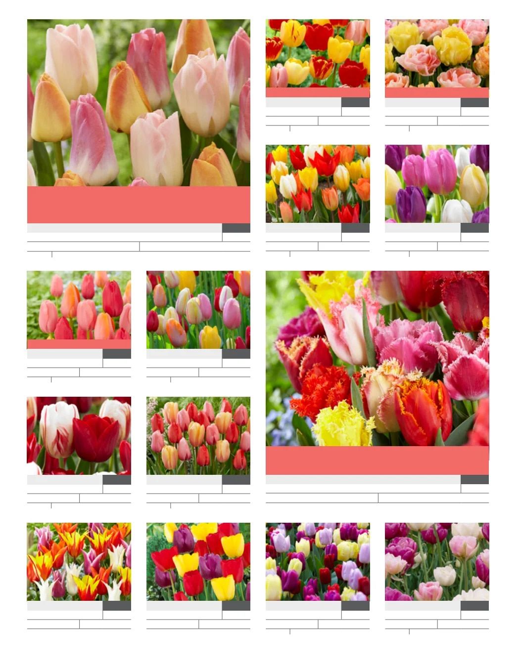 SiteOne Landscape Supply Spring Bulb Catalog Weekly Ad January 1 - December 31, 2026