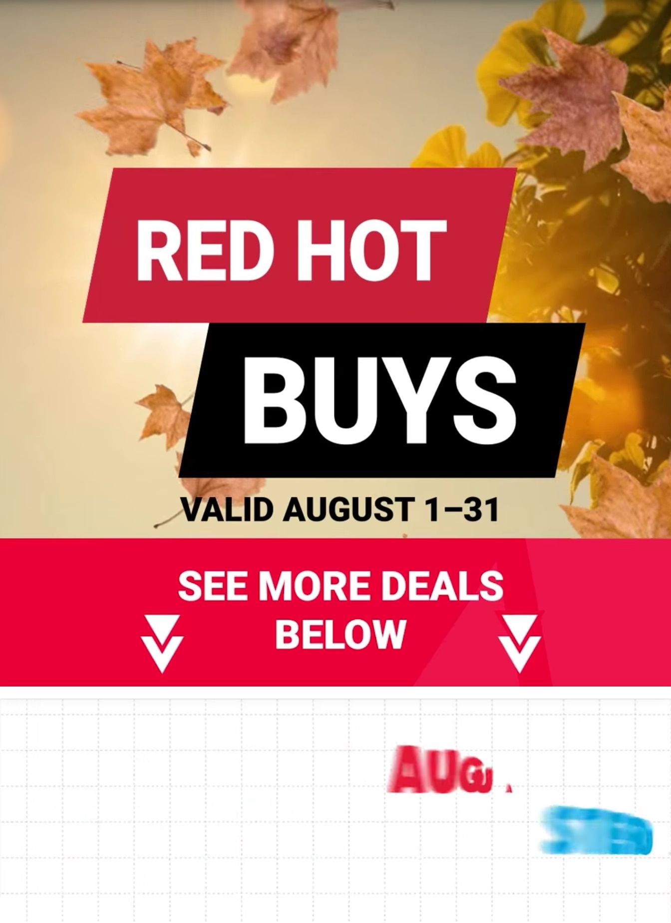 Kabelin Ace (605 E Lincolnway, La Porte, IN) Weekly Ad August 1 - 31, 2026
