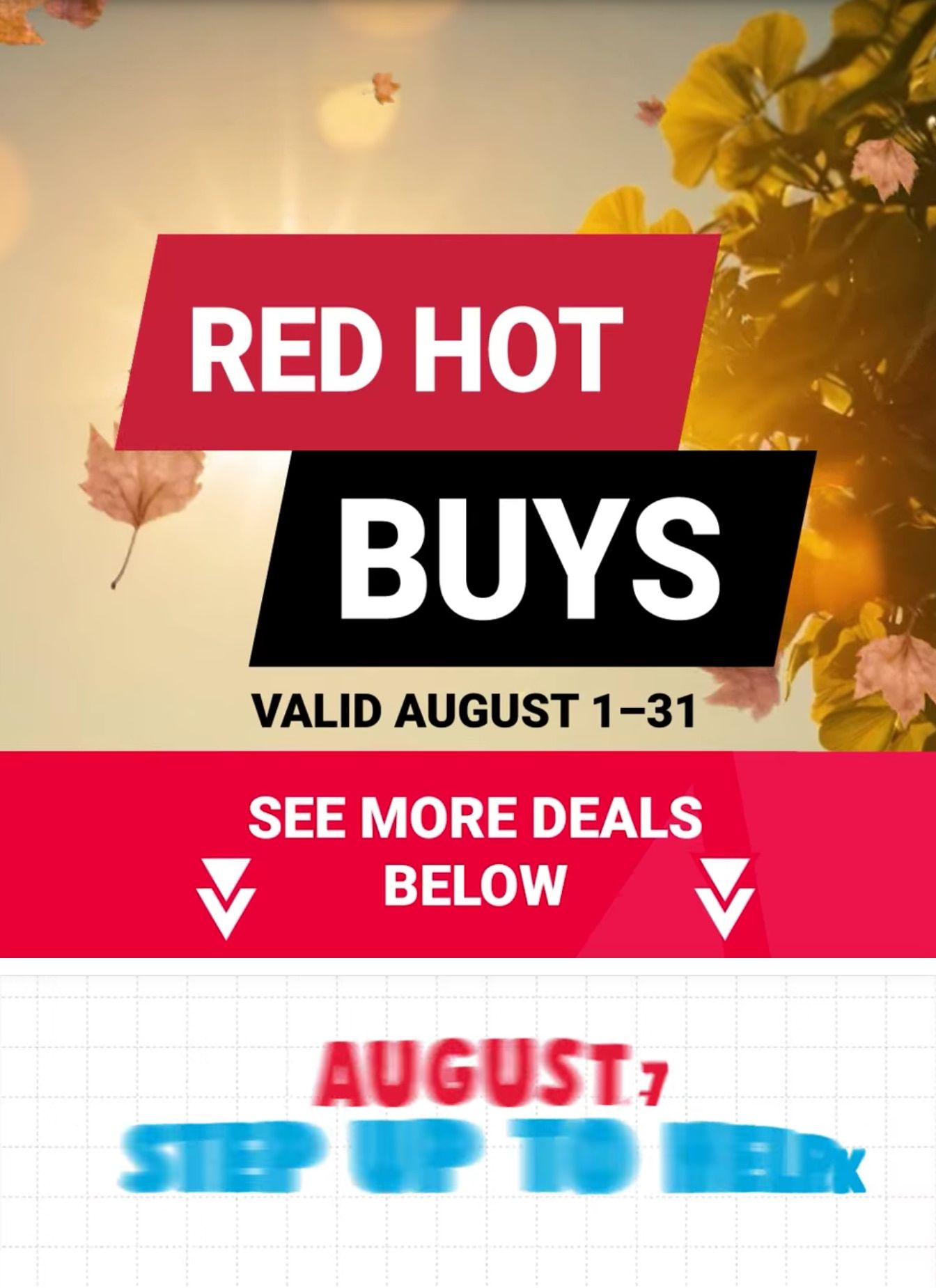 Kabelin Ace (Granger, IN) Weekly Ad August 1 - 31, 2026