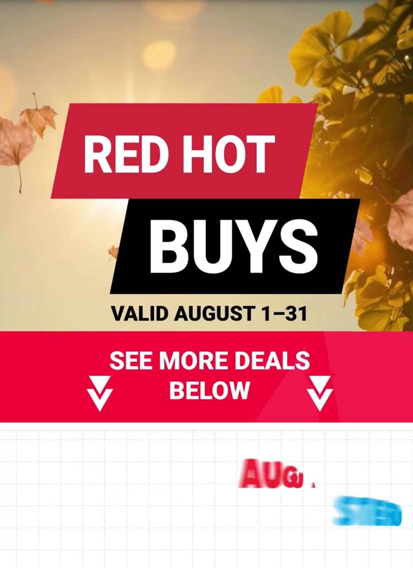 Kabelin Ace (New Carlisle, IN) Weekly Ad August 1 - 31, 2026