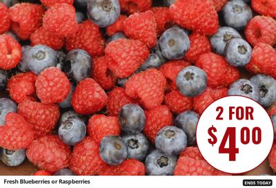 Stokes Market (Idaho, Montana, Utah) Weekly Ad August 12 - 18, 2026