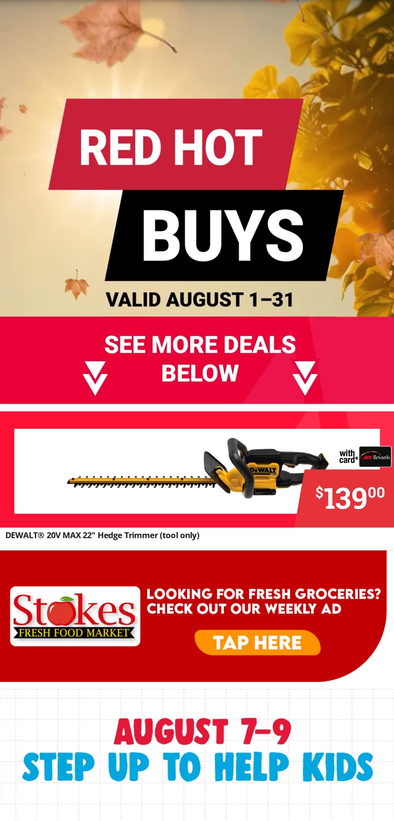 Stokes Ace Weekly Ad August 1 - 31, 2026