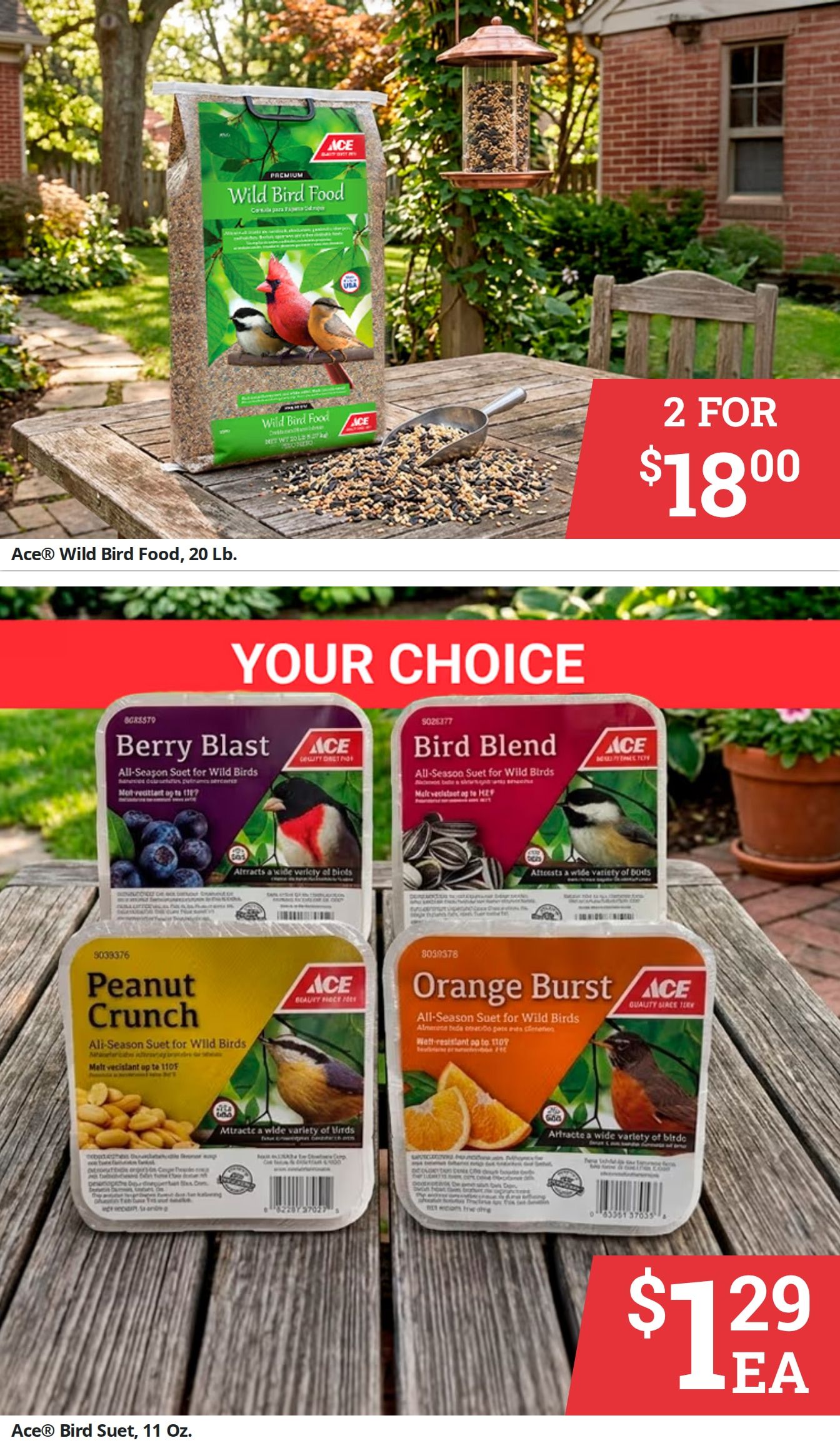 Gambles Ace Hardware Weekly Ad August 1 - 31, 2026