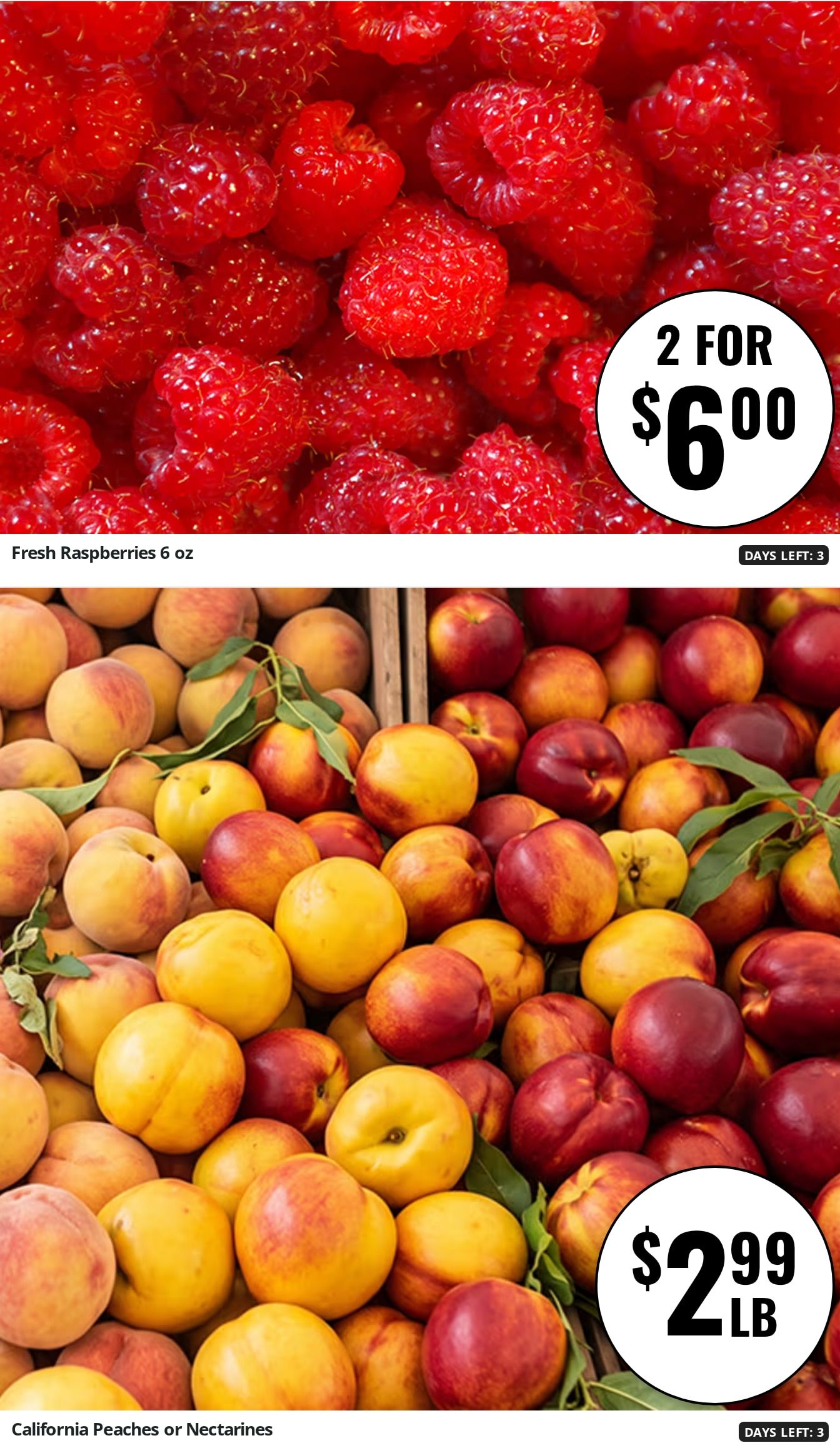 Co-op Food Stores (New Hampshire) Weekly Ad August 13 - 19, 2026