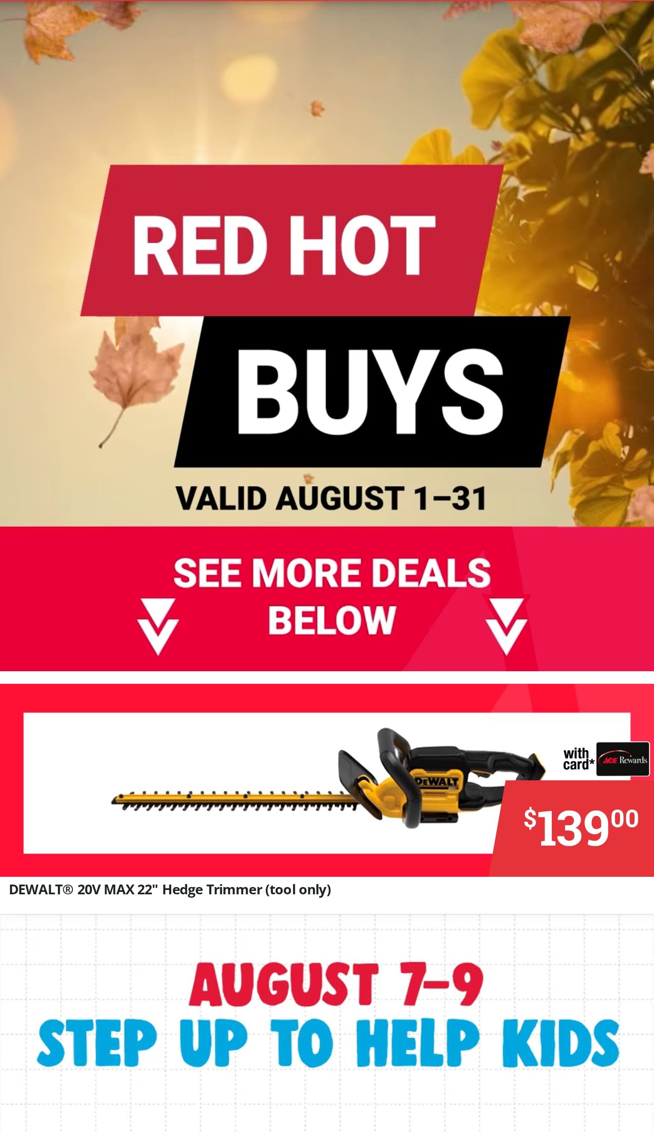 Rick & Robin's Ace Weekly Ad August 1 - 31, 2026