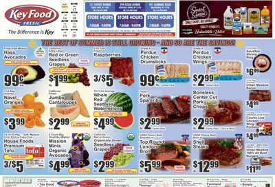 Key Food (Floral Park, Massapequa and Rockville Centre, NY) Weekly Ad August 14 - 20, 2026