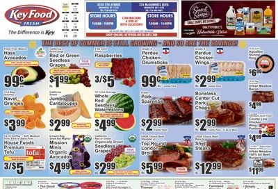 Key Food (New York) Weekly Ad August 14 - 20, 2026