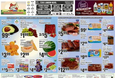 Farm Country (Brooklyn, NY) Key Food Weekly Ad August 14 - 20, 2026