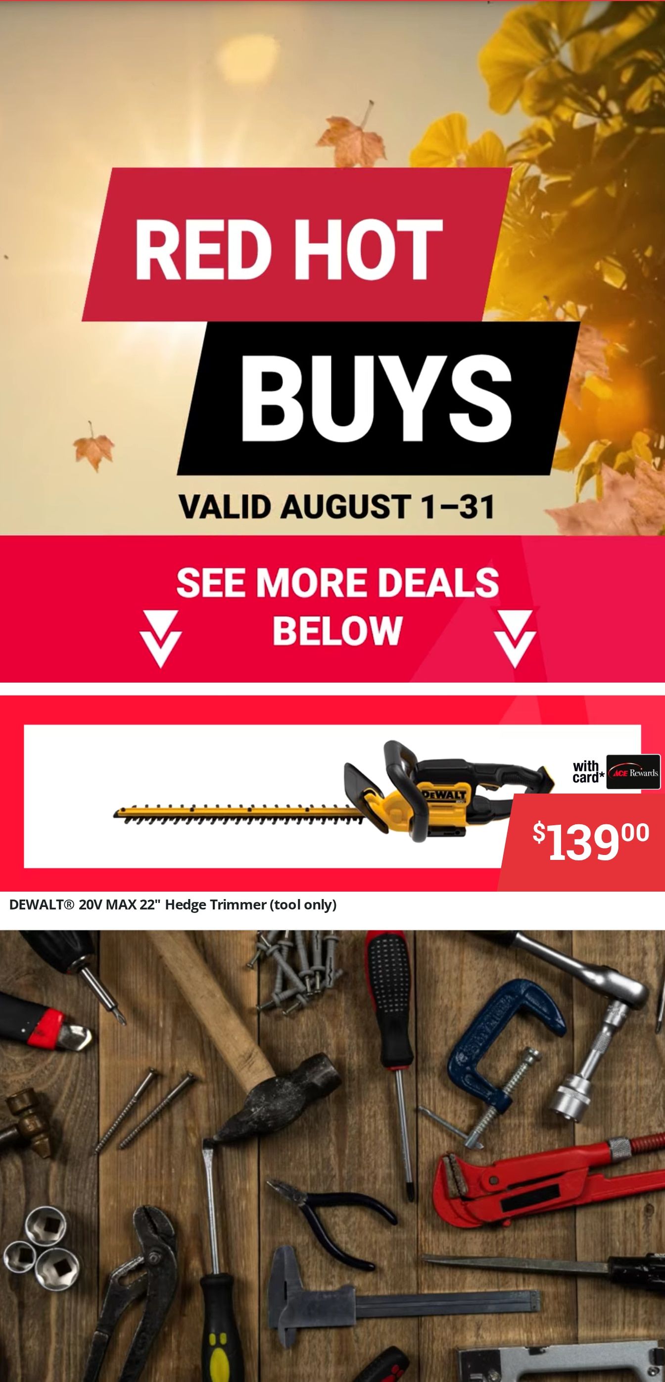Potter's Ace Home Center (Kentucky, Tennessee) Weekly Ad August 1 - 31, 2026