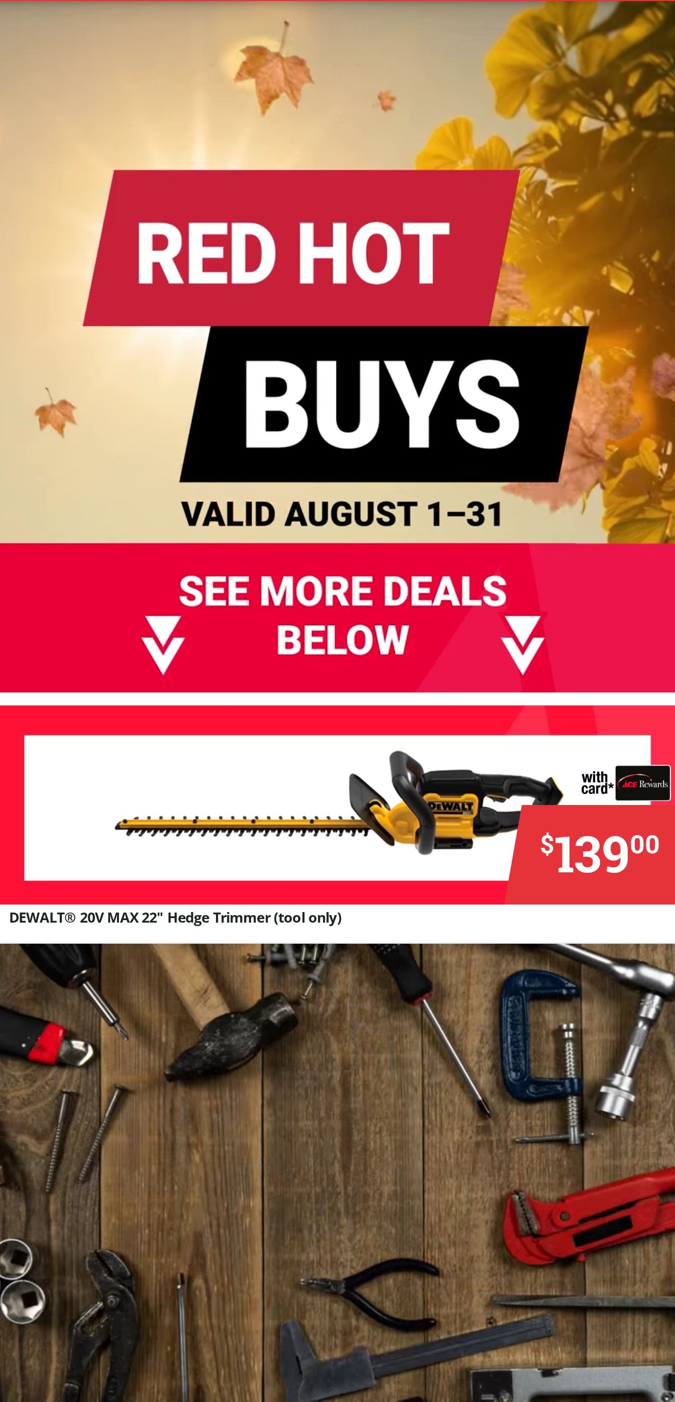 Potter's Ace Home Center (Livingston and Oneida, TN) Weekly Ad August 1 - 31, 2026
